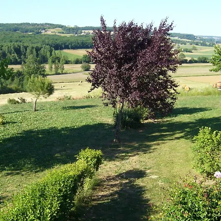 Lasfargues 2 Vakantiehuis